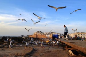 EXCURSÃO DE 12 DIAS CIDADES IMPERIAIS E DESERTO