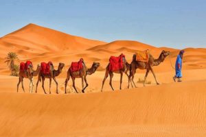 Excursão de 4 Dias Marrakech Deserto