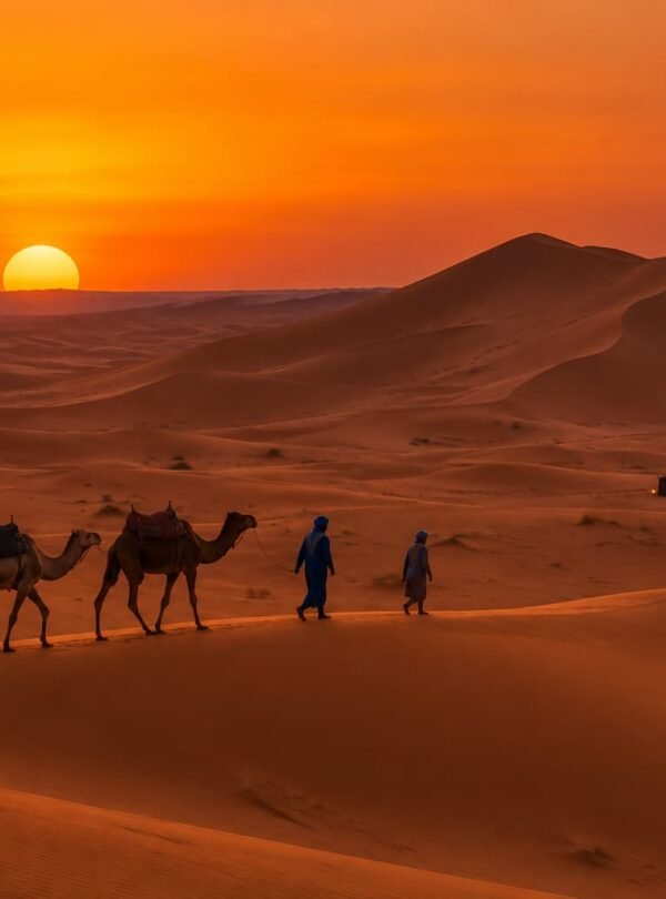Camel trek into the Erg Chebbi dunes on a private 15 days Morocco tour from Casablanca