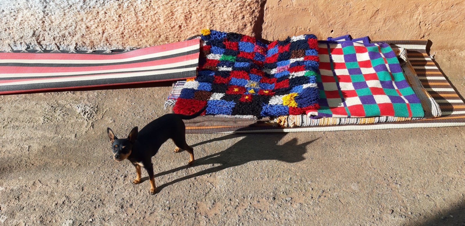 A handwoven Amazigh carpet from Morocco featuring the geometric diamond and zigzag patterns traditionally passed down through generations of women weavers