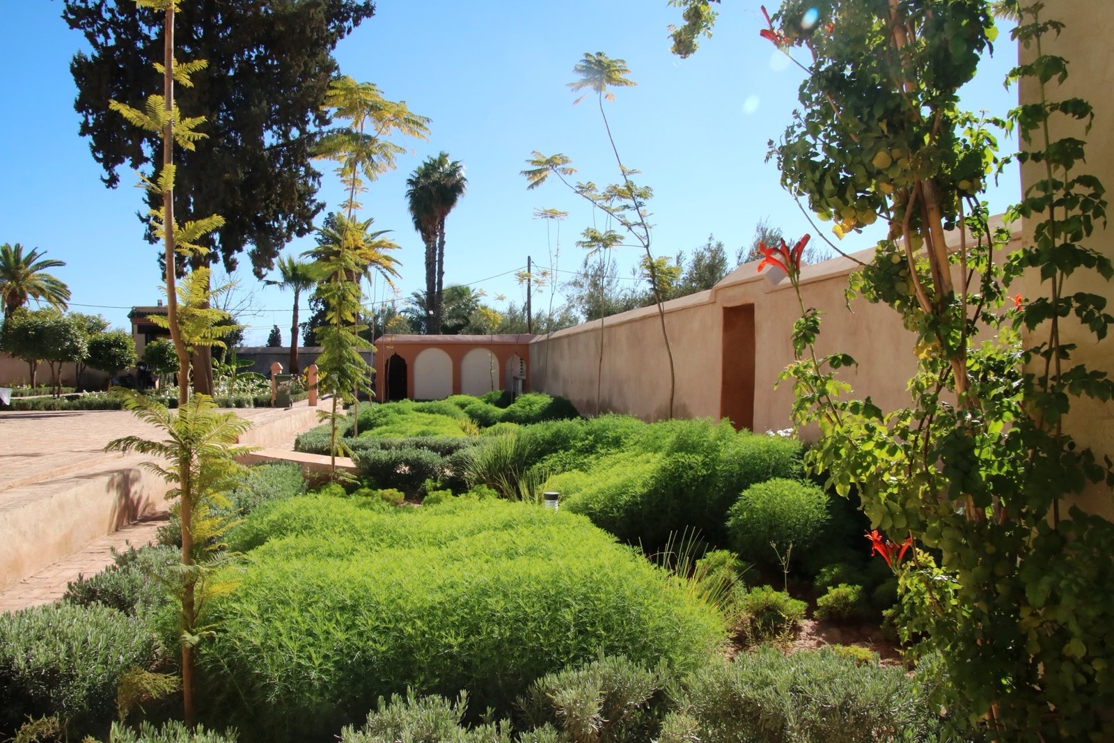 The Menara Gardens reflecting pool in Marrakech with the snow-capped Atlas Mountains in the background and open lawns around it