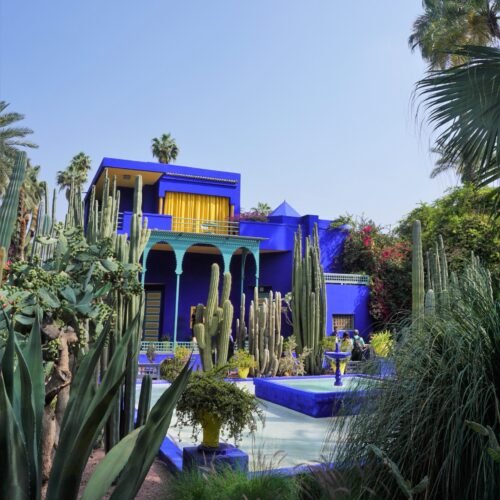 The cobalt-blue Villa Majorelle and cactus garden paths at Jardin Majorelle in Marrakech, a compact, shaded, stroller-friendly stop for families