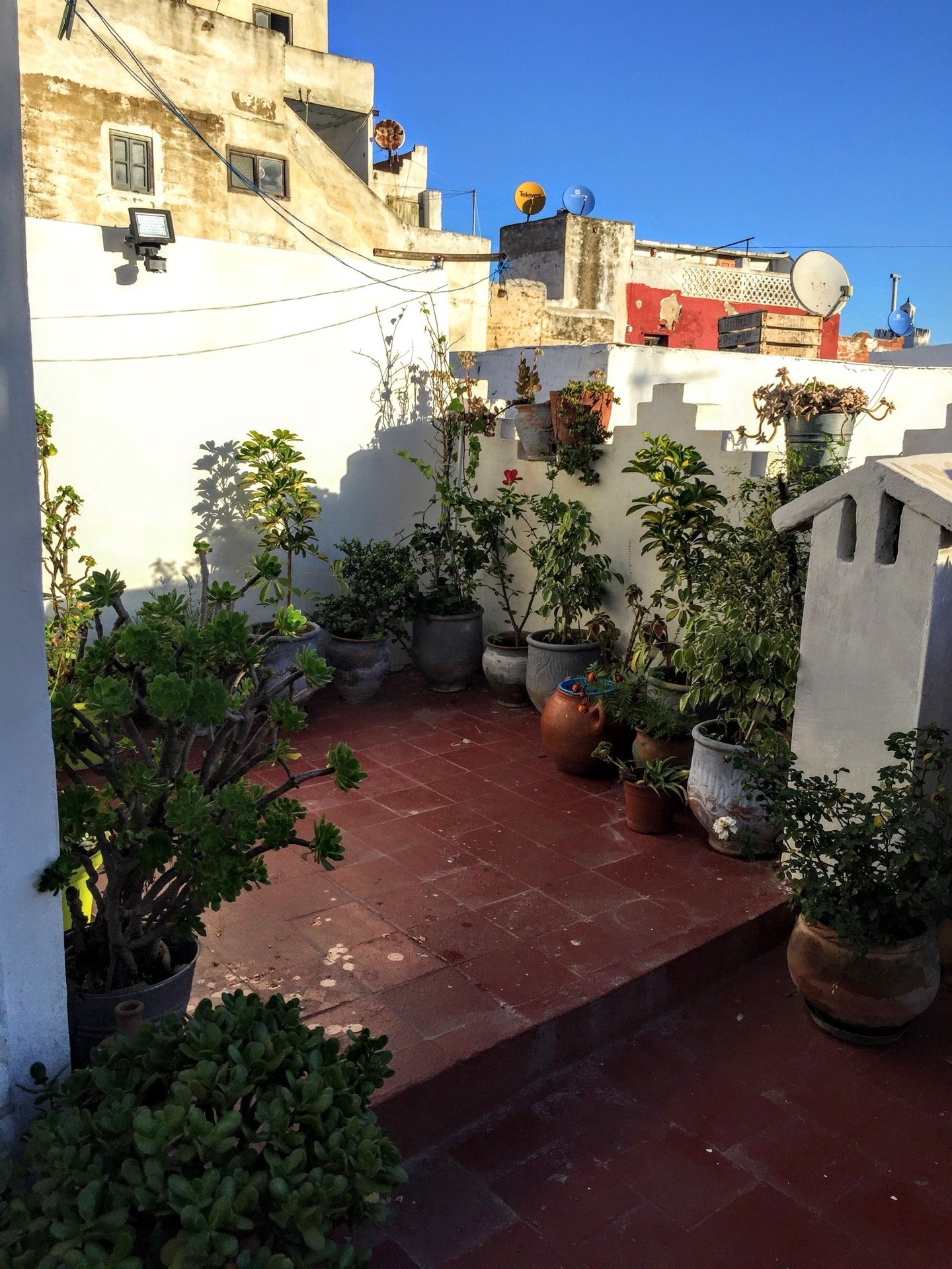 Riad courtyard in Marrakech, a stay on this 6 days Morocco itinerary from Casablanca