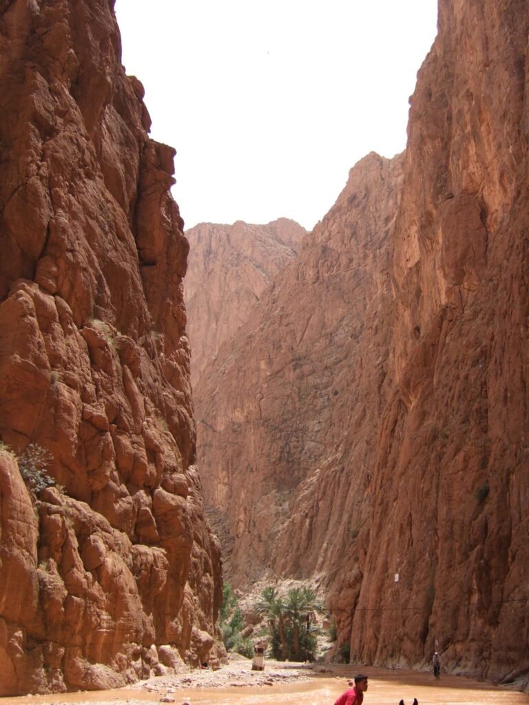 The towering red rock canyon walls of Todra Gorge near Tinerhir, a common stop on the Morocco road trip route between the Dades Valley and the Sahara