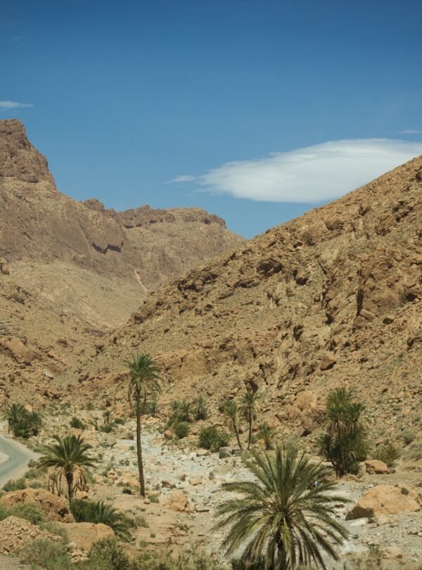 The narrow road running through the base of Todra Gorge between its towering limestone walls, part of the route between Ouarzazate and the Sahara near Merzouga