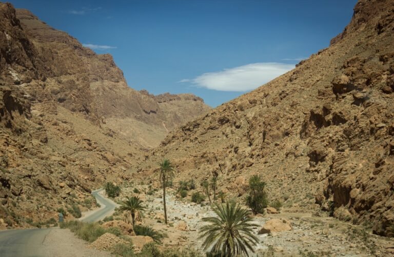 The narrow road running through the base of Todra Gorge between its towering limestone walls, part of the route between Ouarzazate and the Sahara near Merzouga